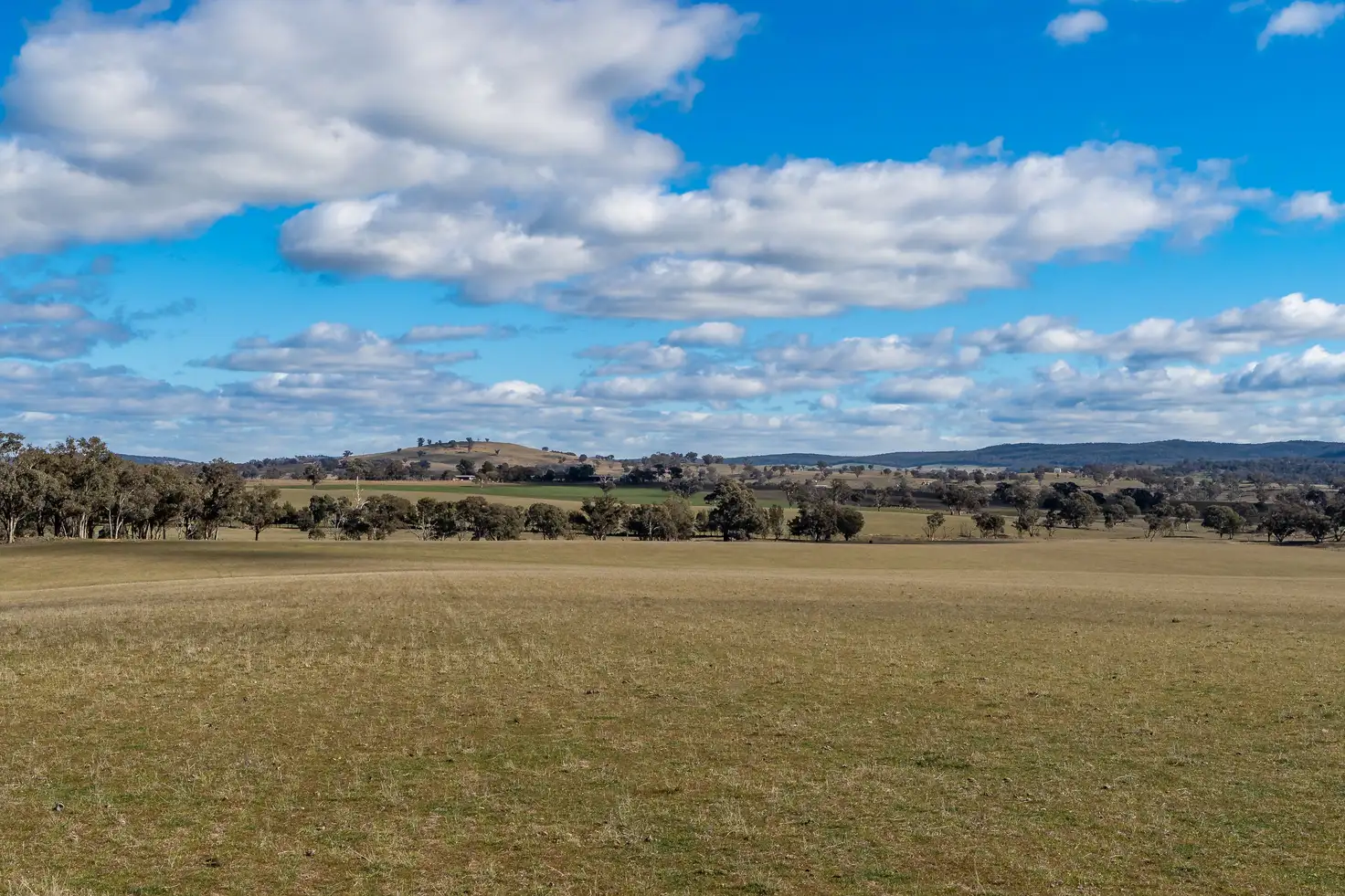 Main view of Homely rural property listing, 1349 Gumble Road, Manildra NSW 2865