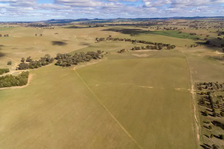 Second view of Homely rural property listing, 1349 Gumble Road, Manildra NSW 2865