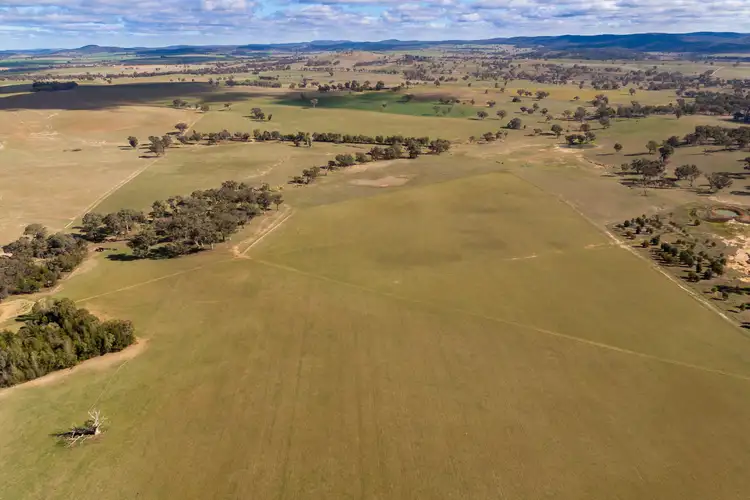 Fourth view of Homely rural property listing, 1349 Gumble Road, Manildra NSW 2865