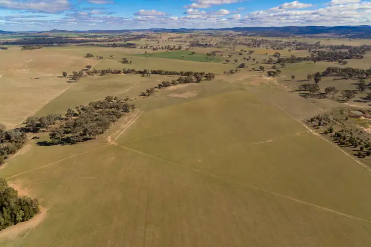 Sixth view of Homely rural property listing, 1349 Gumble Road, Manildra NSW 2865