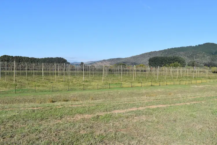 Third view of Homely house listing, 310 Buffalo River Road, Myrtleford VIC 3737