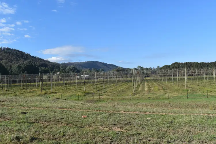 Fourth view of Homely house listing, 310 Buffalo River Road, Myrtleford VIC 3737