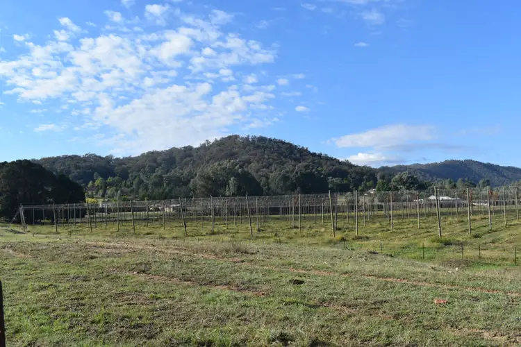 Fifth view of Homely house listing, 310 Buffalo River Road, Myrtleford VIC 3737