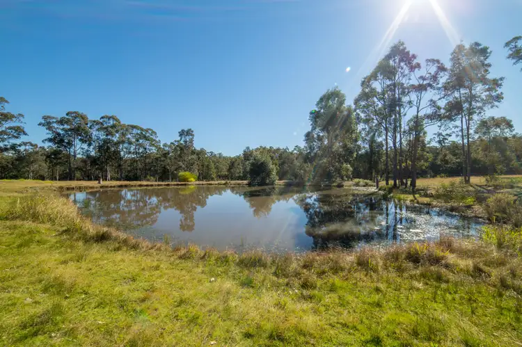 Second view of Homely rural property listing, 554 Limeburners Creek Road, Clarence Town NSW 2321