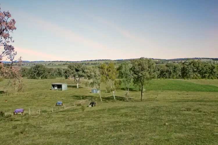 Seventh view of Homely rural property listing, 1822 Kamilaroi Highway, Quirindi NSW 2343