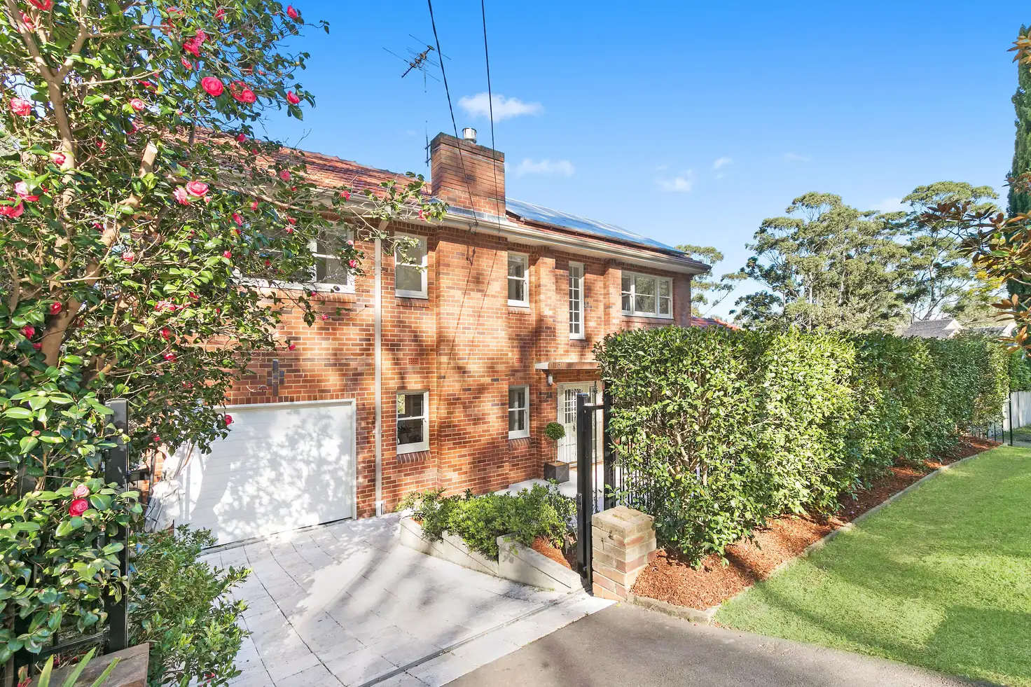 Main view of Homely house listing, 36 Abingdon Road, Roseville NSW 2069
