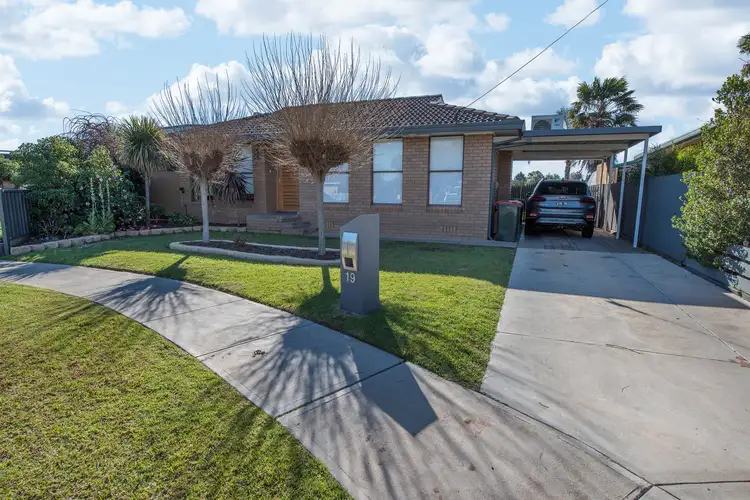 Main view of Homely house listing, 19 Mellor Grove, Swan Hill VIC 3585