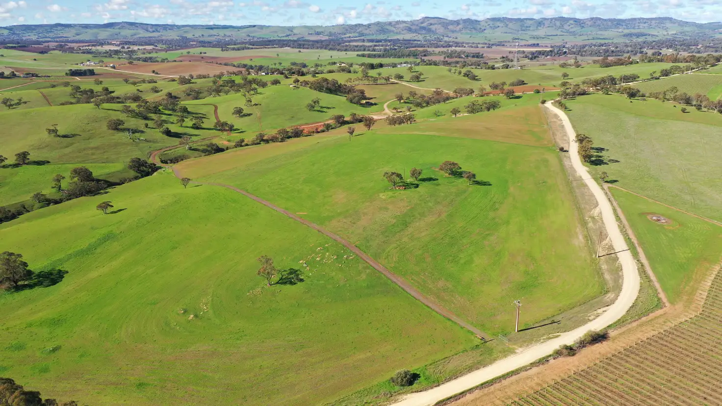 Main view of Homely rural property listing, 'Rosedale' - Lot 90 Rosedale Scenic Road, Lyndoch SA 5351