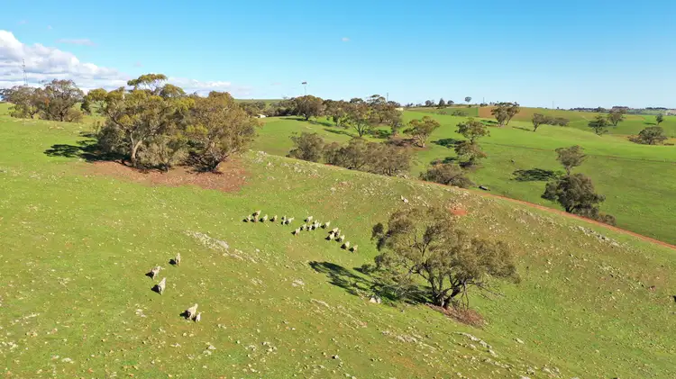 Fifth view of Homely rural property listing, 'Rosedale' - Lot 90 Rosedale Scenic Road, Lyndoch SA 5351