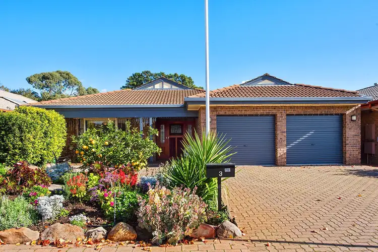 3 Peppertree Grove, Oaklands Park SA 5046
