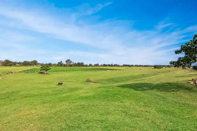 Fourth view of Homely rural property listing, 64 Dangar Road, Singleton NSW 2330