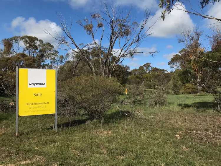 Main view of Homely rural property listing, Lot 54 Bussenschutt Road, Cunliffe SA 5554
