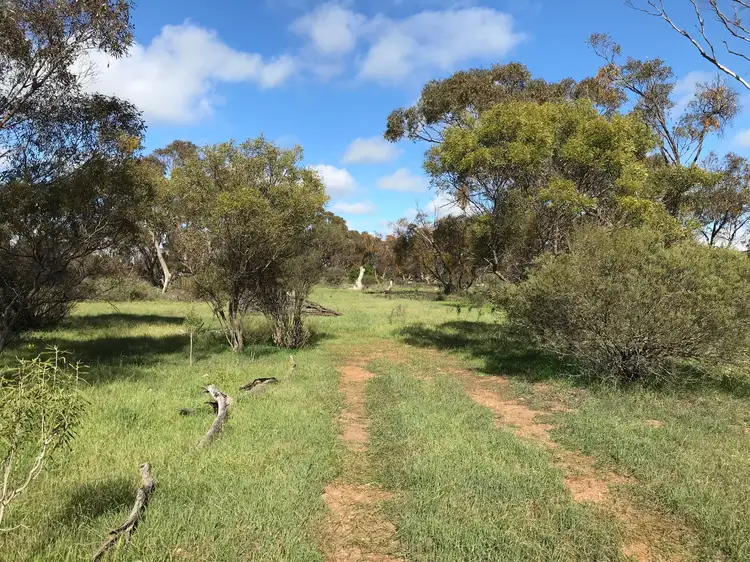 Fourth view of Homely rural property listing, Lot 54 Bussenschutt Road, Cunliffe SA 5554