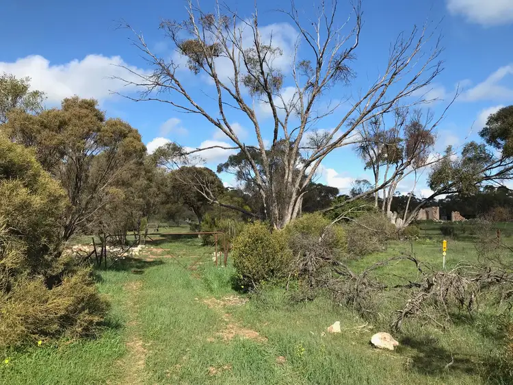 Fifth view of Homely rural property listing, Lot 54 Bussenschutt Road, Cunliffe SA 5554