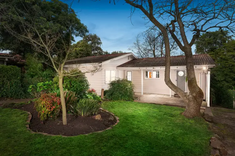 Main view of Homely house listing, 48 Wonga Road, Ringwood VIC 3134