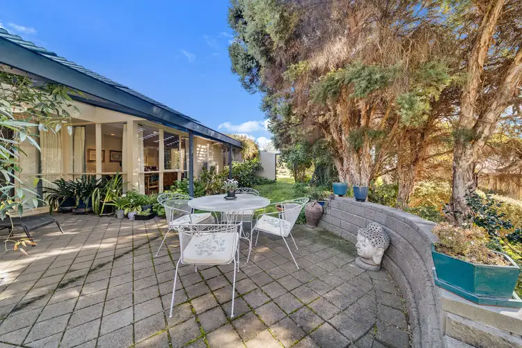 Main view of Homely house listing, 3/58 Shackleton Circuit, Mawson ACT 2607