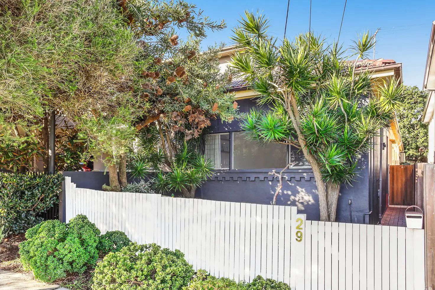 Main view of Homely other listing, 29 Reina Street, North Bondi NSW 2026