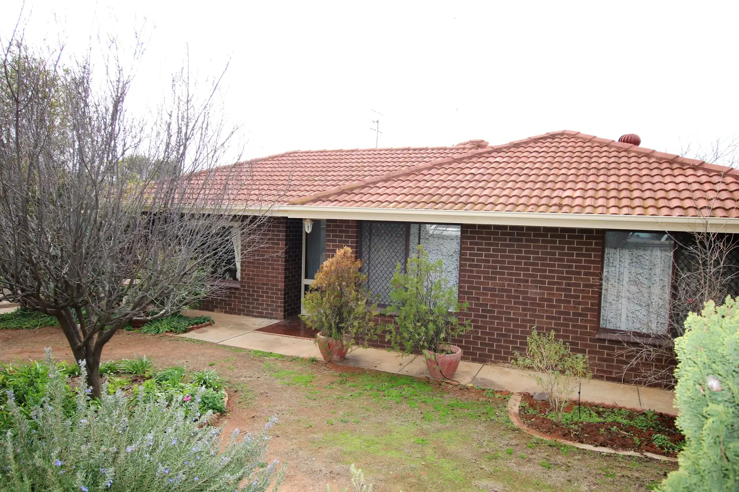 Main view of Homely house listing, 21 Barker Street, Loxton SA 5333