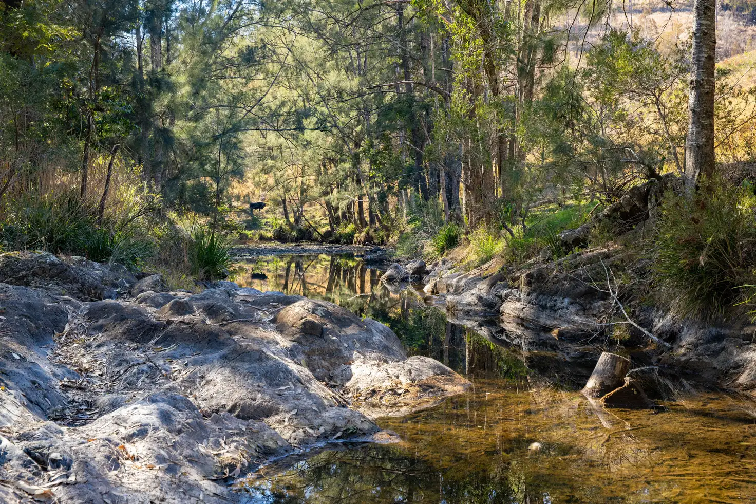 Main view of Homely rural property listing, 733 Bowman River Road, Gloucester NSW 2422