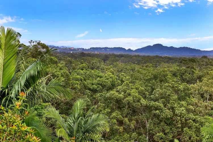Fourth view of Homely house listing, 38 Lauren Drive, Buderim QLD 4556