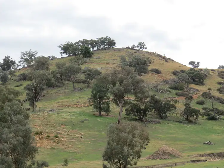 Lot 147 Tarrants Gap Road, Wyangala NSW 2808