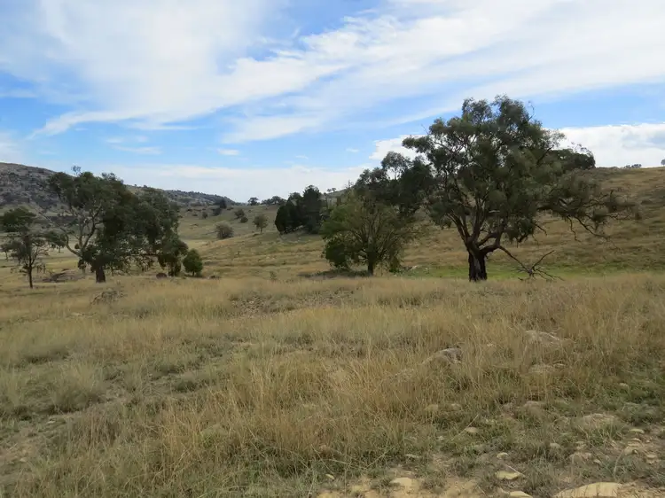 Lot 162 Tarrants Gap Road, Wyangala NSW 2808