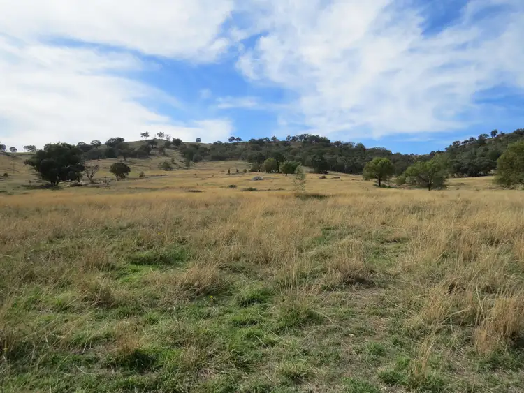 Second view of Homely rural property listing, Lot 162 Tarrants Gap Road, Wyangala NSW 2808