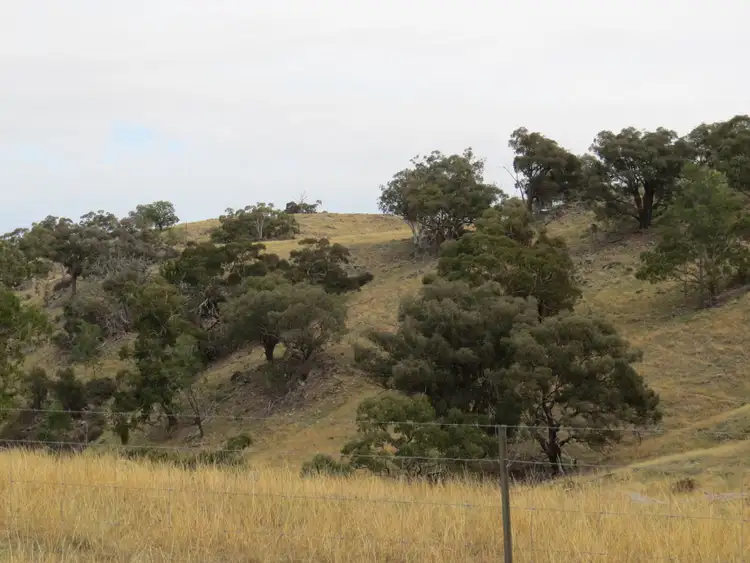Fifth view of Homely rural property listing, Lot 162 Tarrants Gap Road, Wyangala NSW 2808