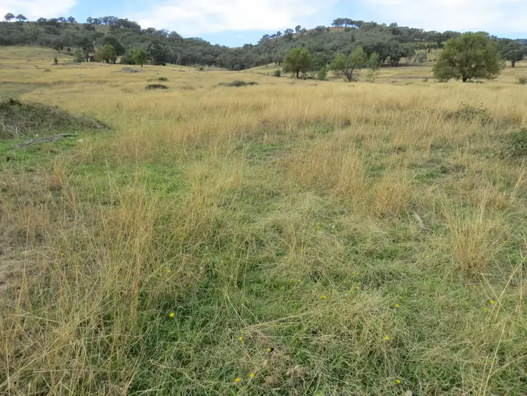 Seventh view of Homely rural property listing, Lot 162 Tarrants Gap Road, Wyangala NSW 2808