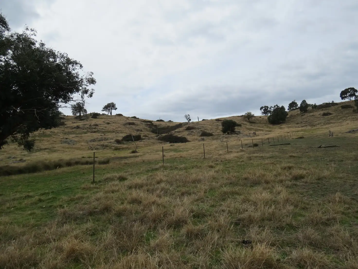 Main view of Homely rural property listing, Lots 67 & 161 Tarrants Gap Road, Wyangala NSW 2808