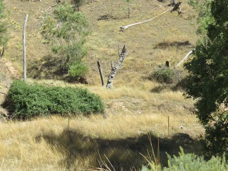 Fourth view of Homely rural property listing, Lots 67 & 161 Tarrants Gap Road, Wyangala NSW 2808