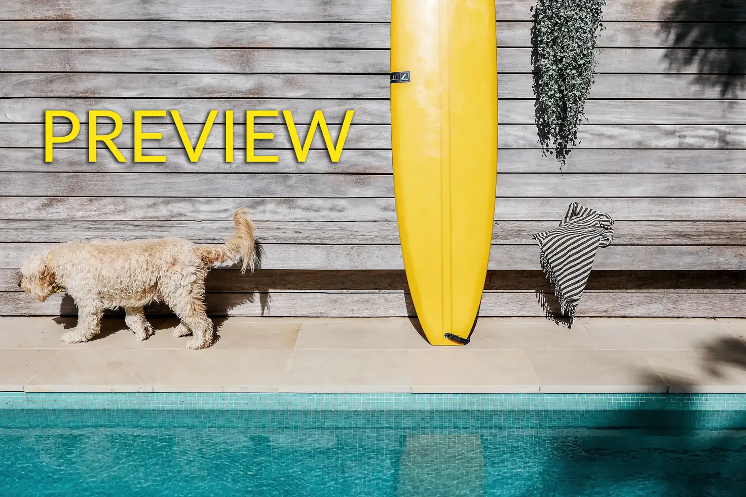 Main view of Homely house listing, 2/17 Caves Beach Road, Caves Beach NSW 2281