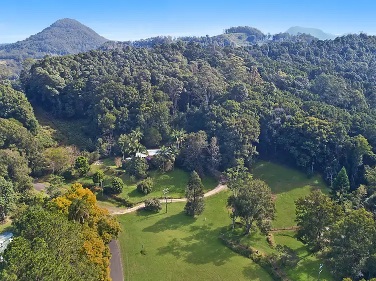 46 Hopkins Creek Road, Hopkins Creek NSW 2484