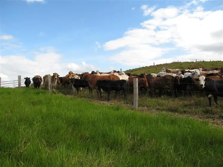 Fourth view of Homely rural property listing, 66477 Bruce Highway, Woopen Creek QLD 4871