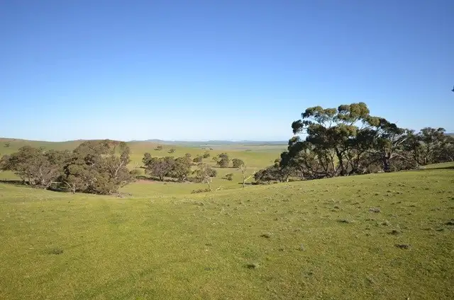 Fifth view of Homely rural property listing, "Kellys" Cattle Station Road, Mount Bryan SA 5418