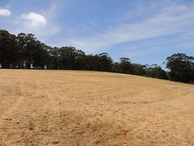 Sixth view of Homely rural property listing, 160 Harewood Road, Denmark WA 6333