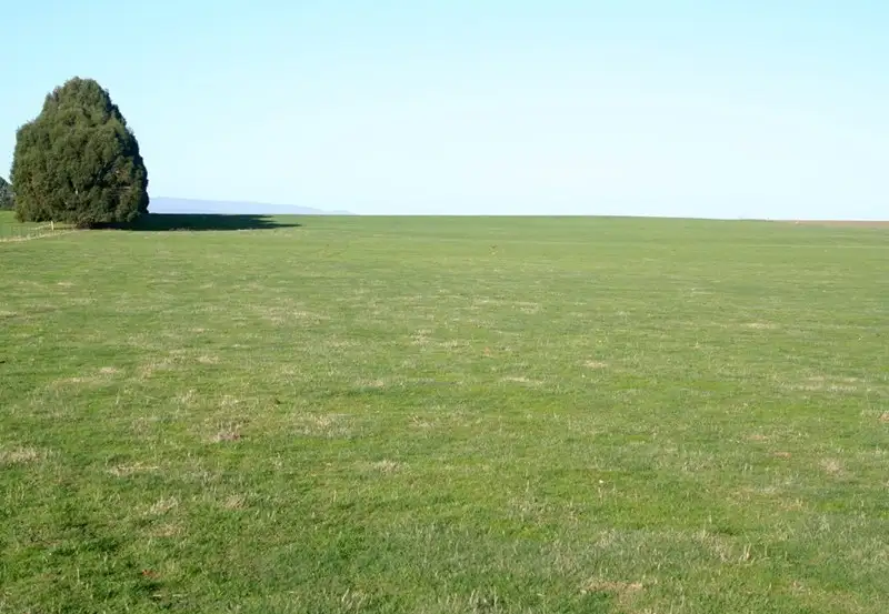 Main view of Homely rural property listing, Address available on request