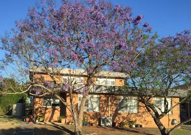 5 Treeby Street, Tingalpa QLD 4173