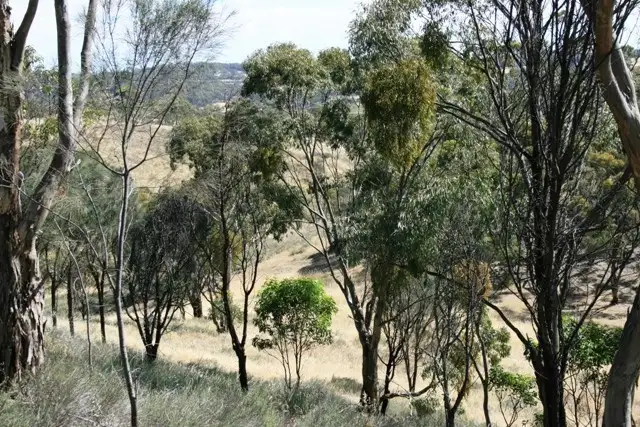 Fifth view of Homely land listing, 56 Bennys Hill Road, Clare SA 5453