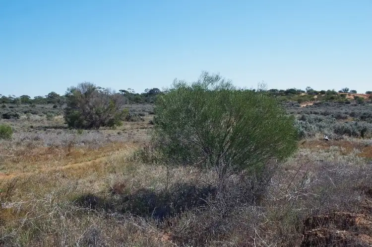 Third view of Homely rural property listing, Lot 2 Story Avenue, Renmark SA 5341
