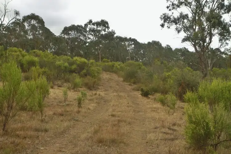 Seventh view of Homely land listing, 415 Youngs Lane, Heathcote VIC 3523