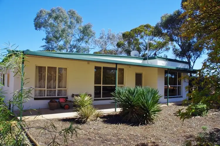 833 Murtho Road, Paringa SA 5340