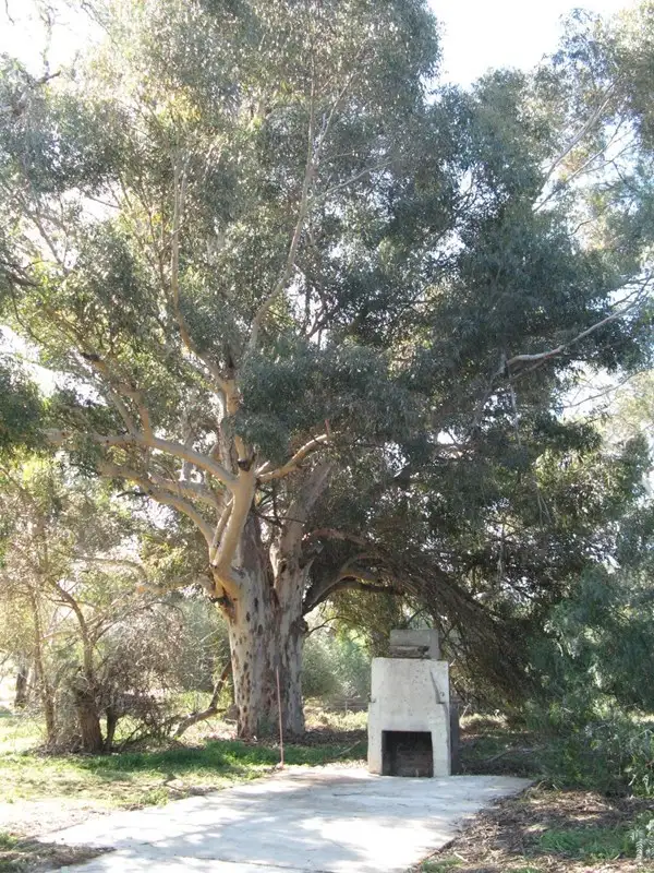 Fourth view of Homely land listing, Lot 268 Sanderston Road, Sanderston SA 5237