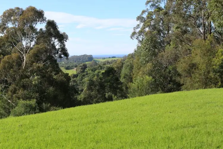 Second view of Homely house listing, 429 Punkalla Tilba Road, Central Tilba NSW 2546