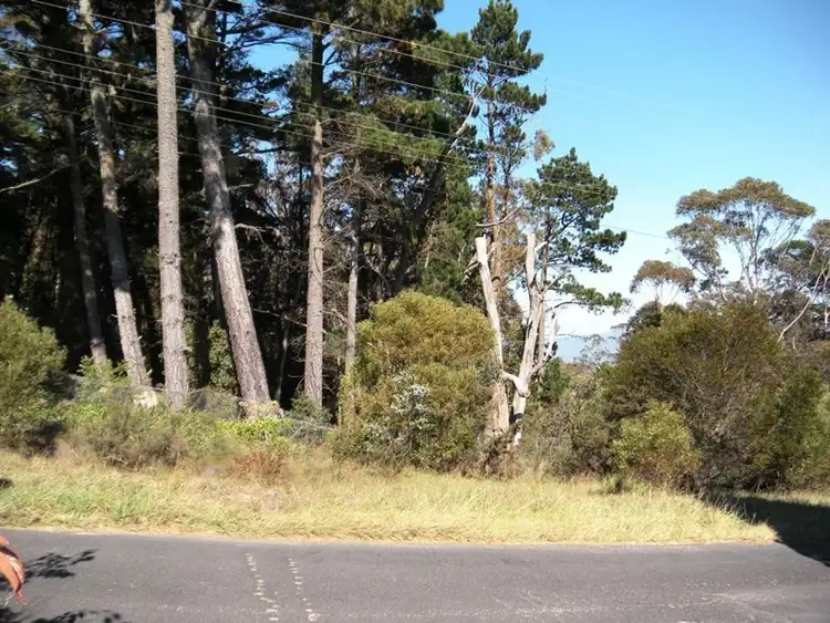 66 Victoria Street, Mount Victoria NSW 2786