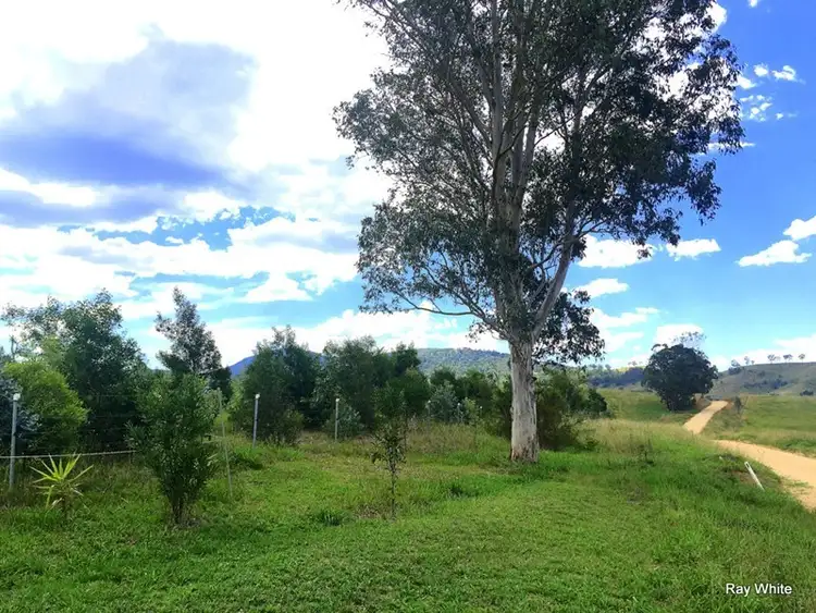 Seventh view of Homely rural property listing, 800 Neringla Road, Araluen NSW 2622