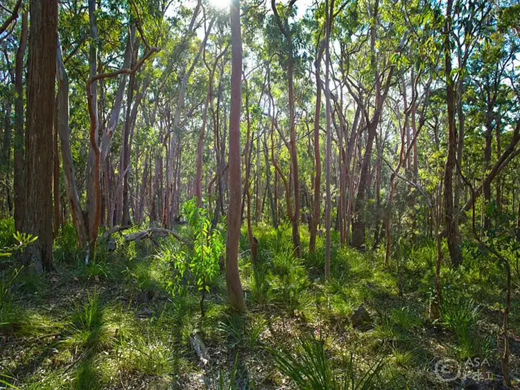 Second view of Homely land listing, Lot 24 and 37 Nellies Glen Road, Megalong NSW 2785