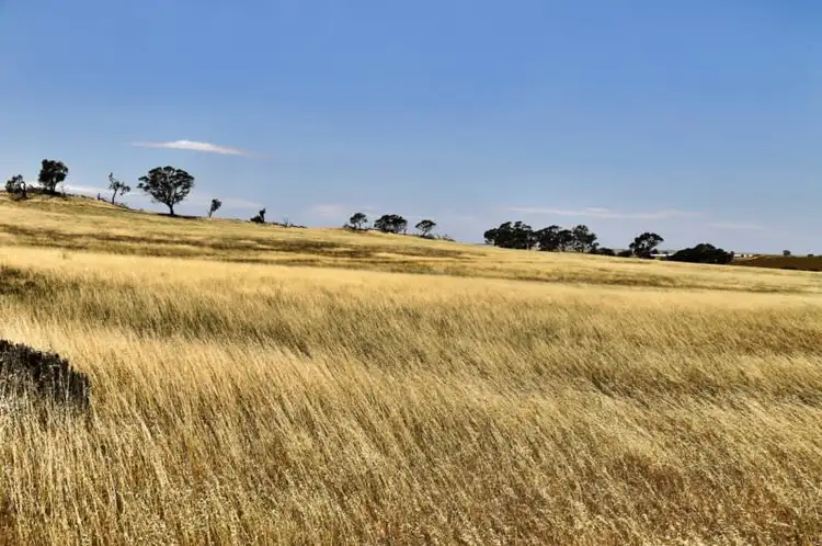 Seventh view of Homely rural property listing, "Tarnma Block" Curio Highway, Hampden SA 5374
