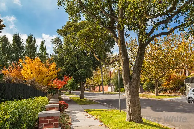 Seventh view of Homely house listing, 7 Wilson Street, Surrey Hills VIC 3127