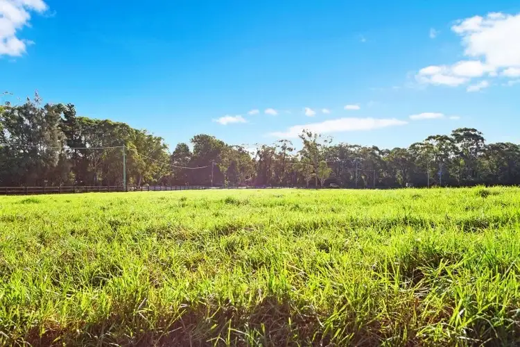 Fourth view of Homely rural property listing, 13 Barakee Road, Peats Ridge NSW 2250